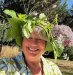 Laura Stusser-McNeil's profile picture